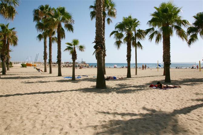 Sun And Beach Lovers 12019 La Pineda Bagian luar foto