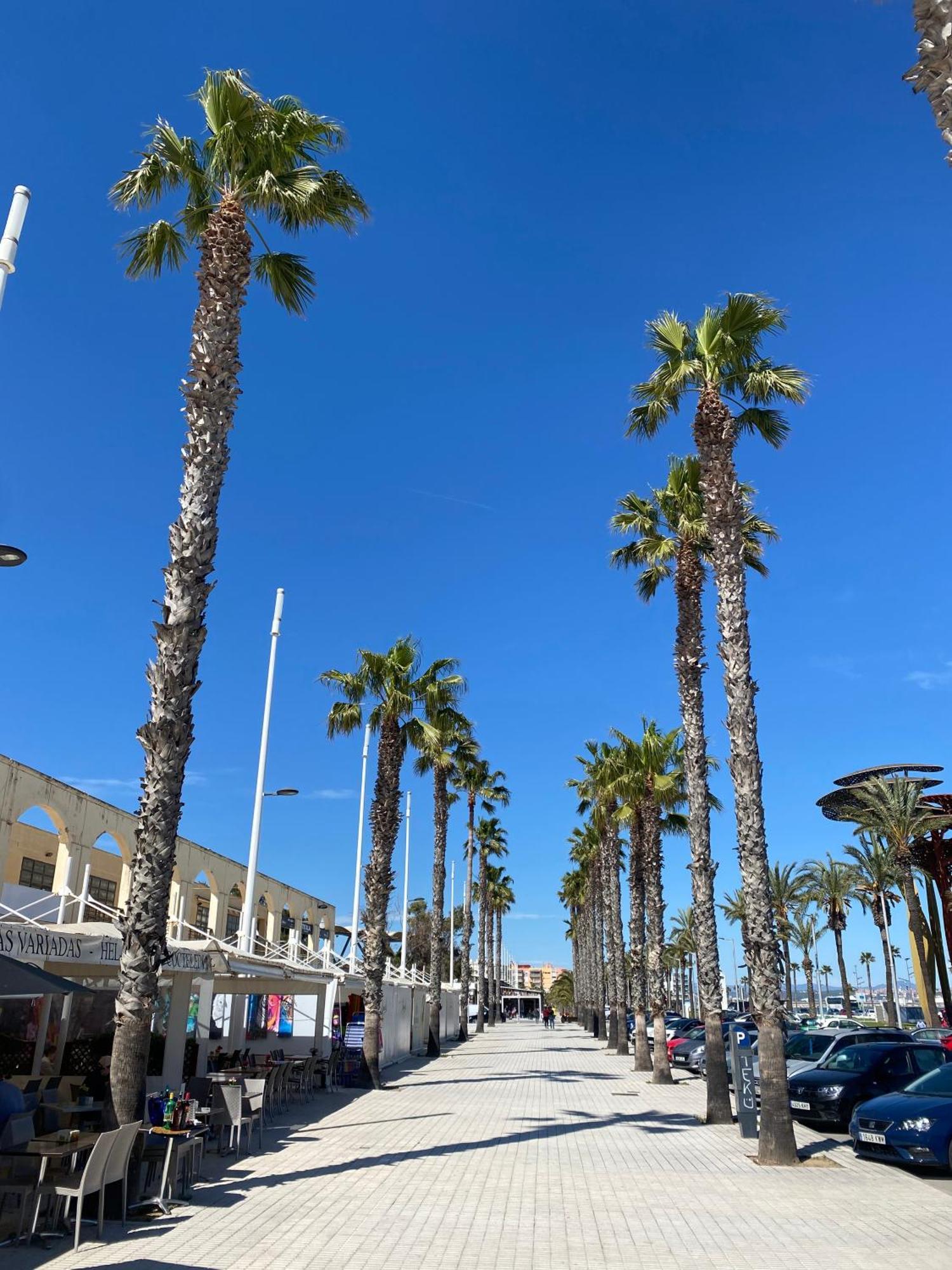 Sun And Beach Lovers 12019 La Pineda Bagian luar foto
